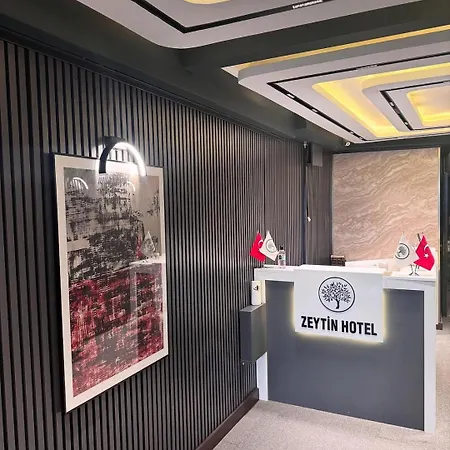 Hotell Zeytin 2*